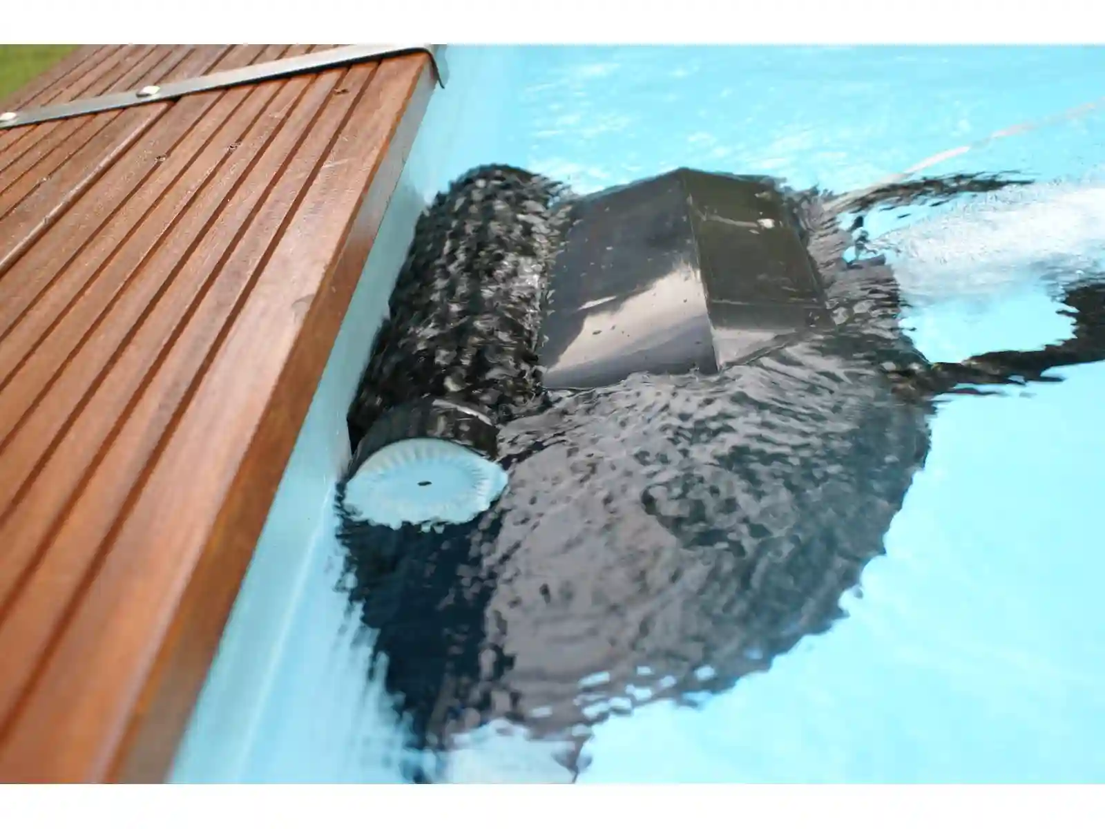 Swim & Fun Scooby Pool Poolrobot: Test, anmeldelse og beste pris - Bilde 4