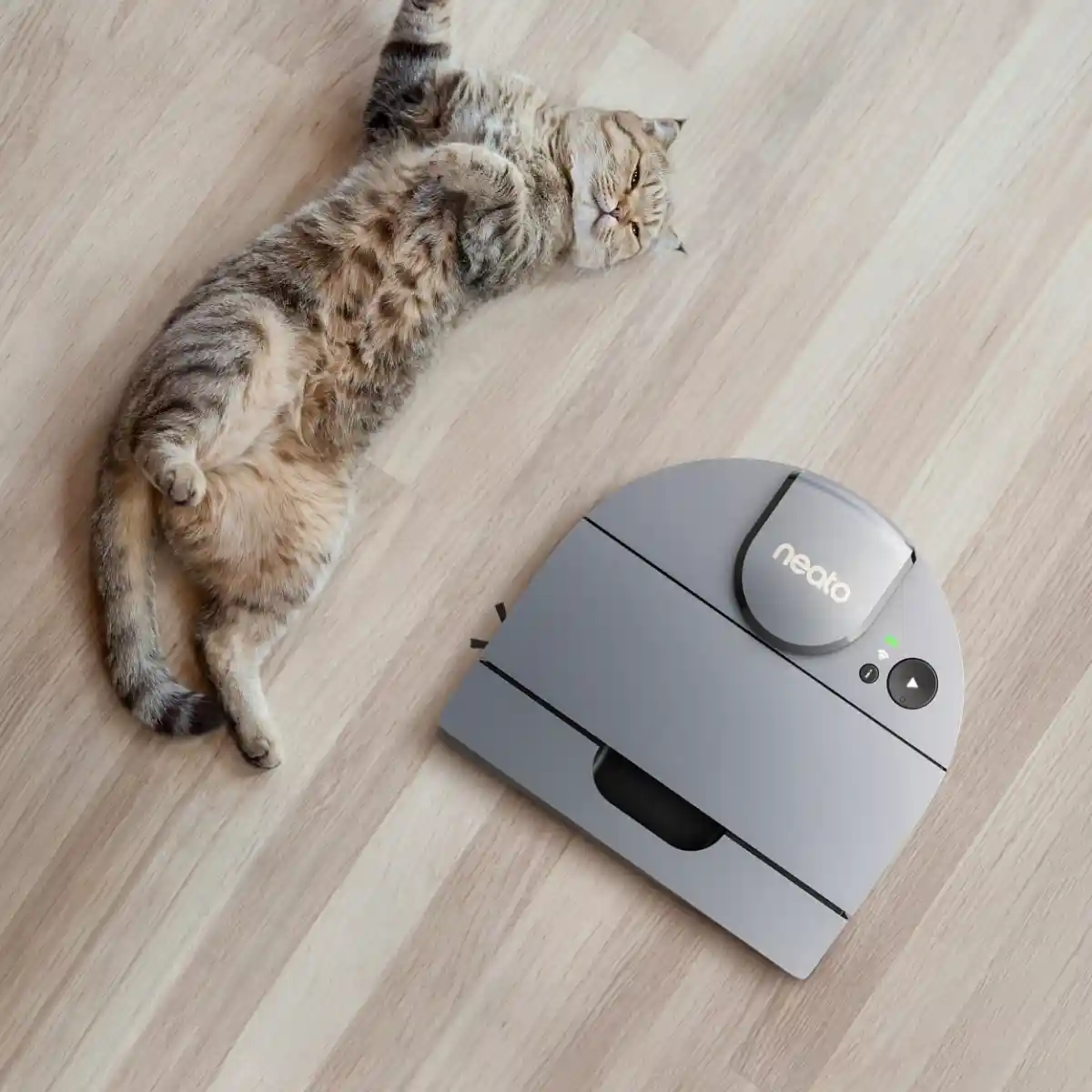 Neato D10 Intelligent Robotstøvsuger: Test, anmeldelse og beste pris - Bilde 4