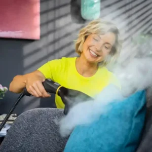 Alternative view of Kärcher Plaggdamper: test, anmeldelse og skrukkefri pleie