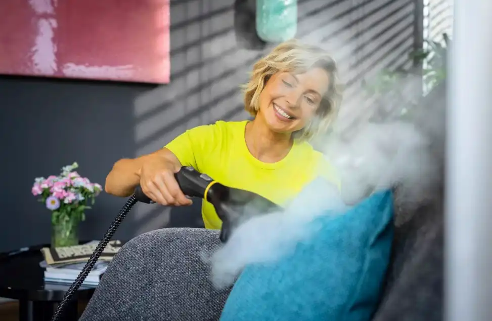 Kärcher Plaggdamper: test, anmeldelse og skrukkefri pleie - Bilde 2