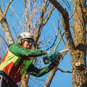 Test og Anmeldelse av Makita DUC254Z: Den ultimate guiden makita 2554 z (1)