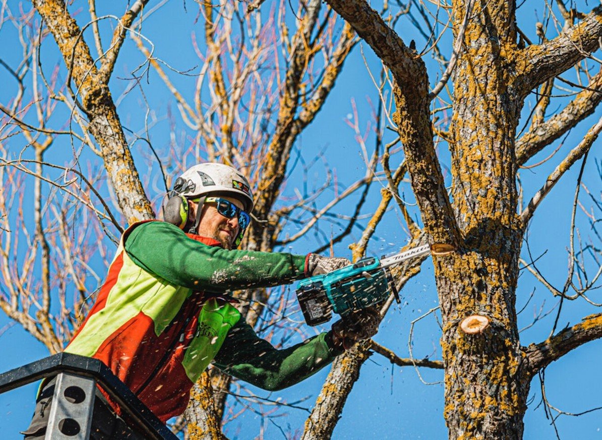 Test og Anmeldelse av Makita DUC254Z: Den ultimate guiden makita 2554 z (1)